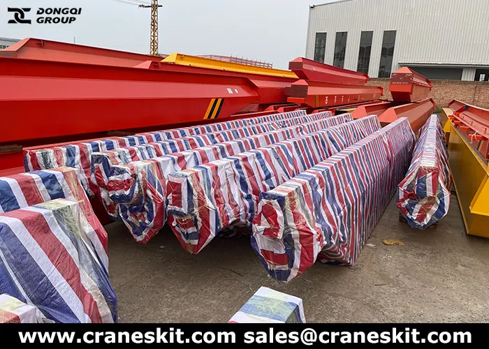 10 ton underslung bridge crane to Nigeria package