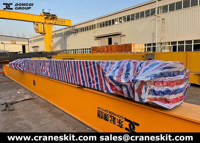10 ton gantry crane for sale to Papua New Guinea