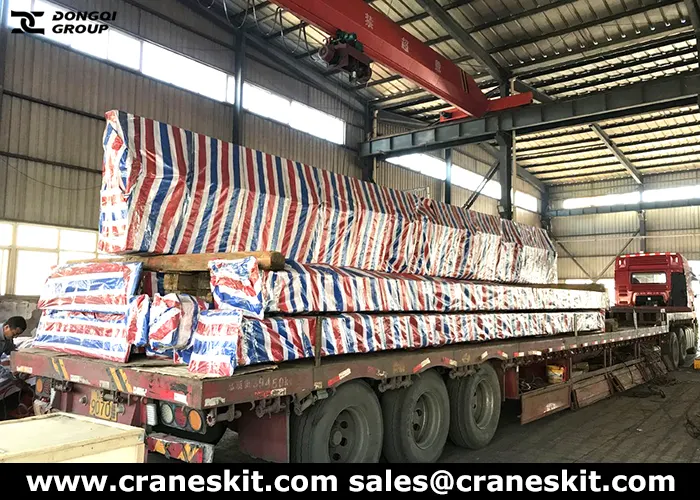 10 ton overhead crane delivered to Sri Lanka
