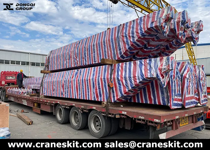 10 ton underslung bridge crane exported to Nigeria
