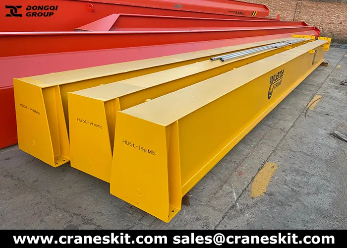 5 ton FEM crane for sale to Mexico production