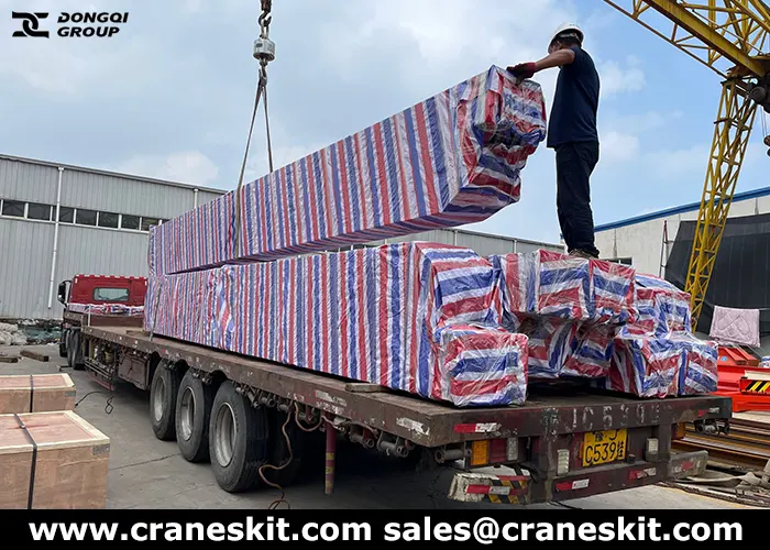 10 ton European overhead crane exported to Philippines