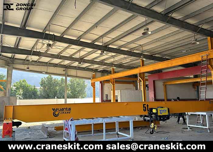 FEM crane 5 ton overhead crane for sale UAE