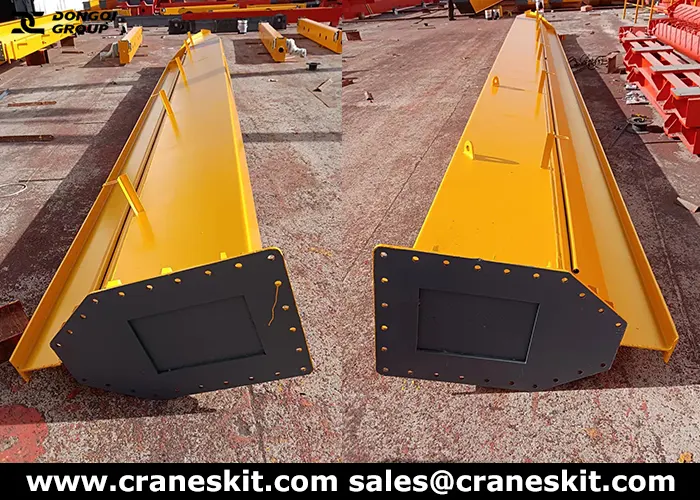 5 ton overhead travelling crane for glass handling