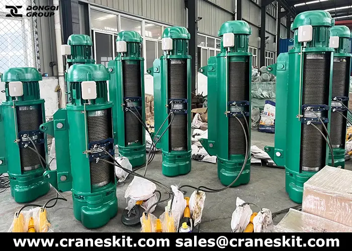 wire rope electric hoist for sale Philippines