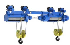 Hoists : Industrial Components & Equipment - Dongqi Group Singapore