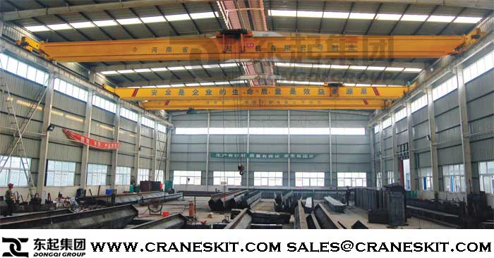 ldp-low-headroom-electric-overhead-traveling-crane.jpg