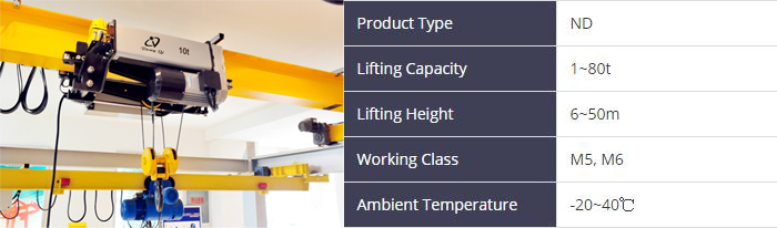 30-ton-nd-european-electric-hoist.jpg