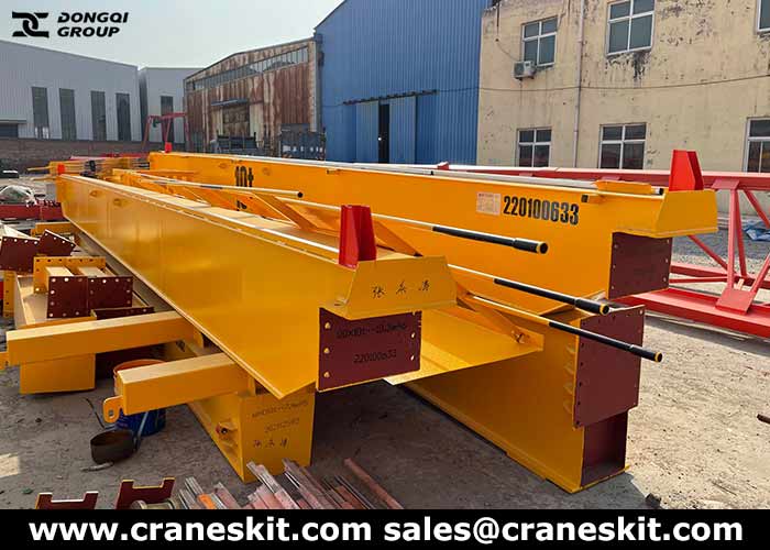 10 ton overhead crane production for Bangladesh coil plant