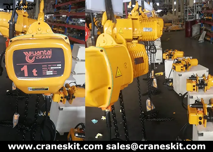 1 ton monorail hoist crane for sale America