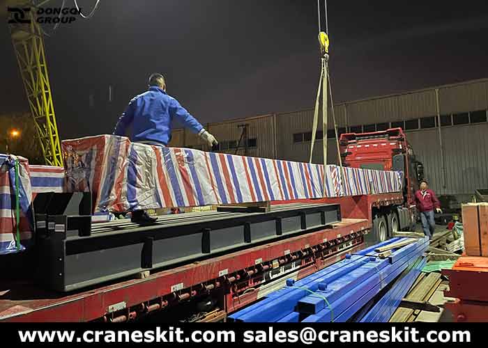 5 ton monorail crane exported to Sudan