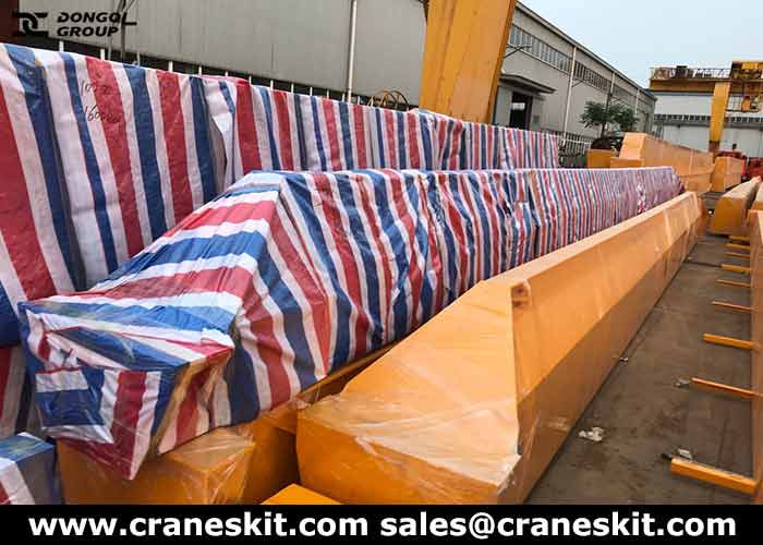 5 ton monorail overhead crane for sale to Sudan