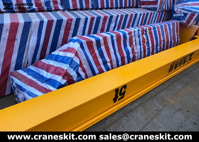 Single Girder 5 Ton Overhead Crane for Sale Oman