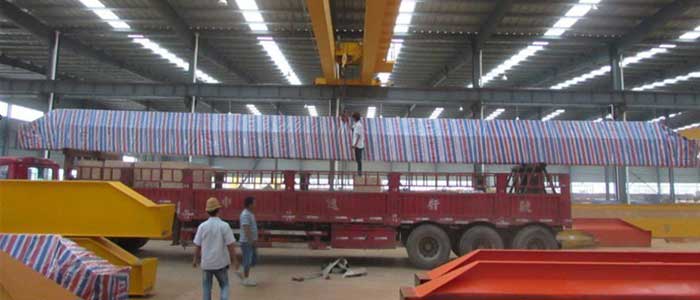 Double girder overhead crane delivery