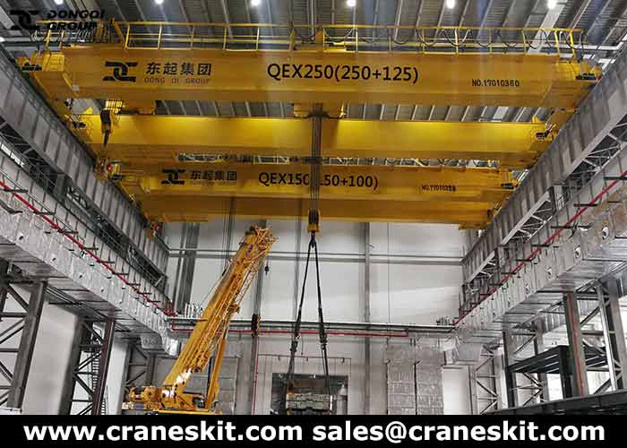 Custom Cranes Service