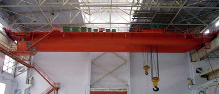 Electric wire rope hoist crane 